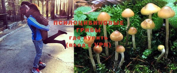 мяу мяу кристалл Арсеньев