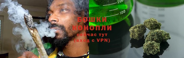 СК Аркадак