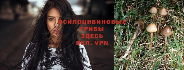 мяу мяу кристалл Арсеньев