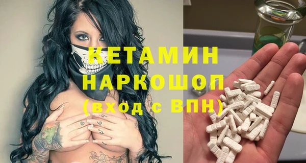 индика Кулебаки