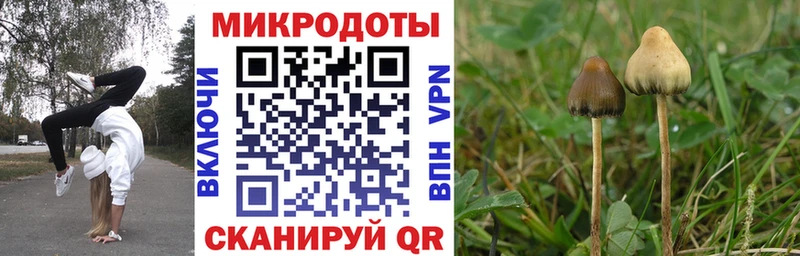 купить наркотики цена Лихославль Галлюциногенные грибы Cubensis